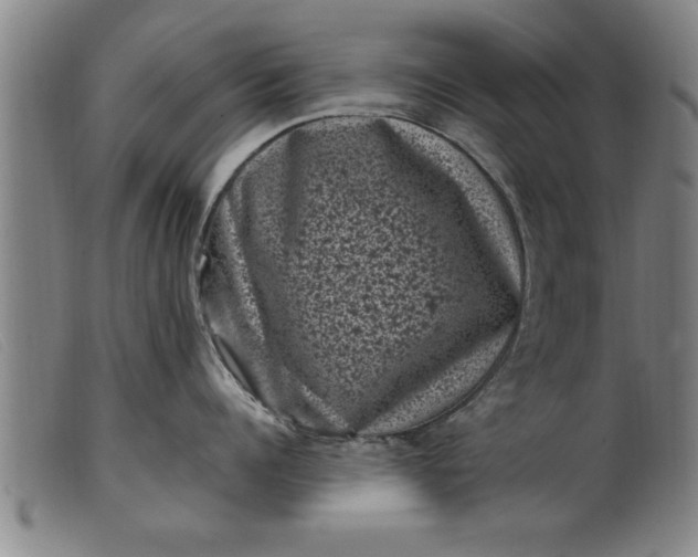 X0000099470960200805231827