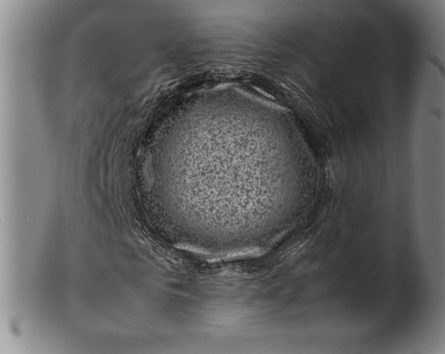X0000099470961200805231826