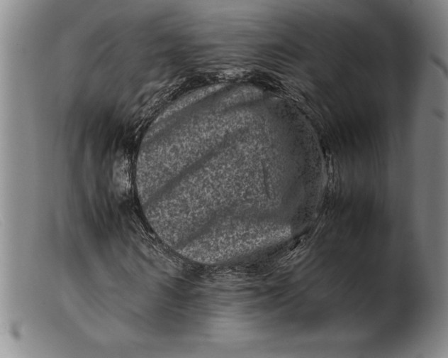 X0000099470962200805231826