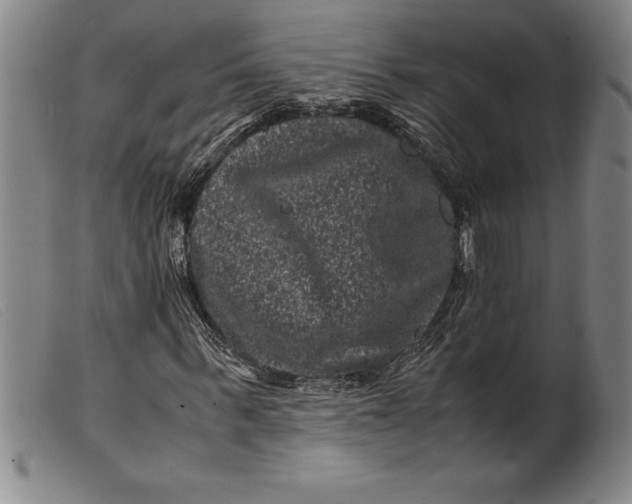X0000099470963200805231826