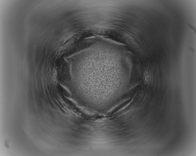 X0000099470964200805231826
