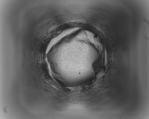 X0000099470965200805231826