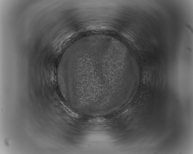X0000099470966200805231826