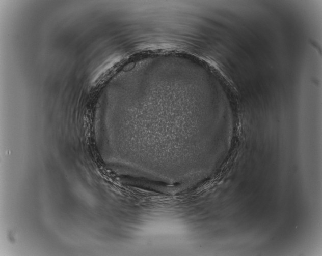 X0000099470967200805231826