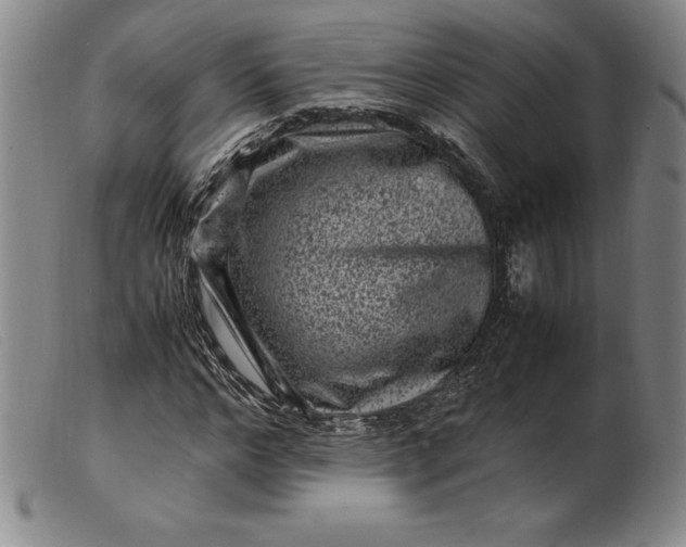 X0000099470968200805231826