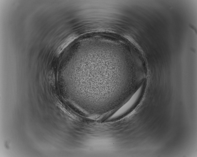 X0000099470969200805231826