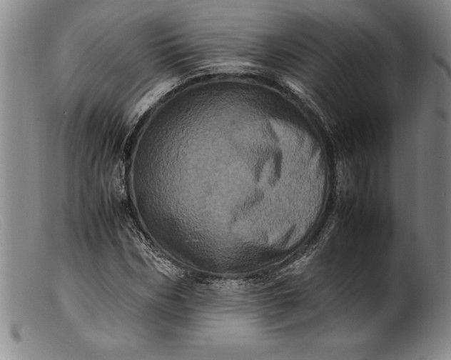 X0000099470970200805231826