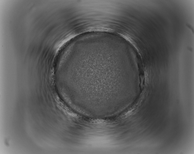 X0000099470971200805231826