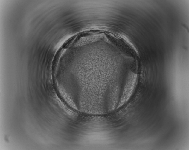 X0000099470972200805231826