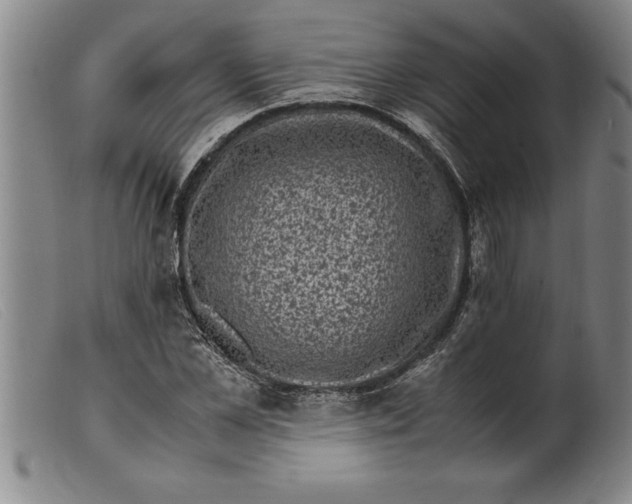 X0000099470973200805231826