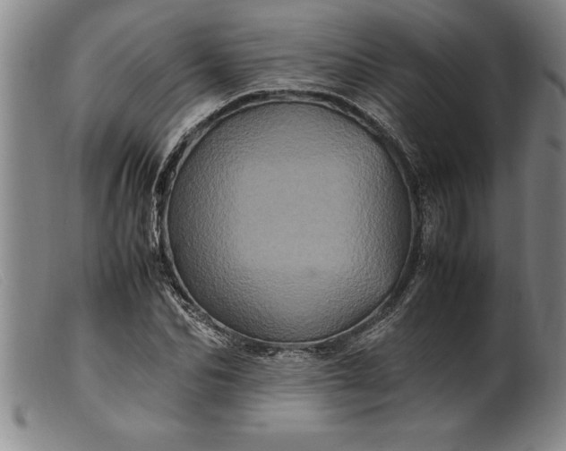 X0000099470974200805231826