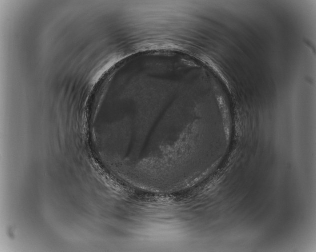 X0000099470975200805231826