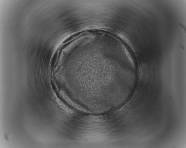 X0000099470976200805231826