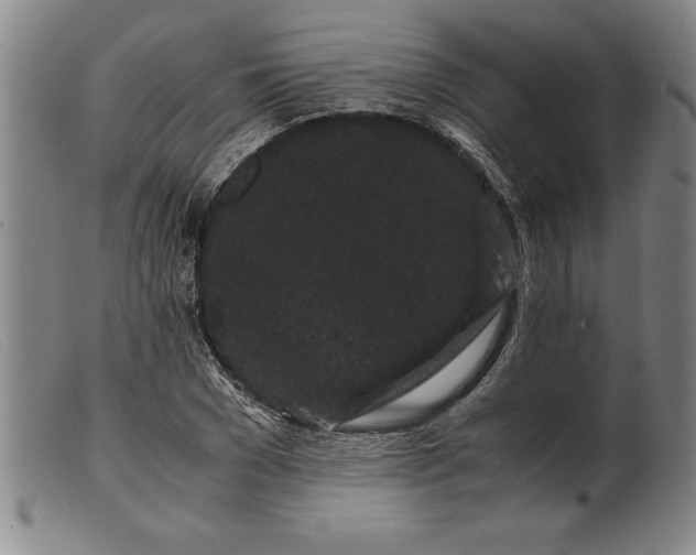 X0000099470977200805231826
