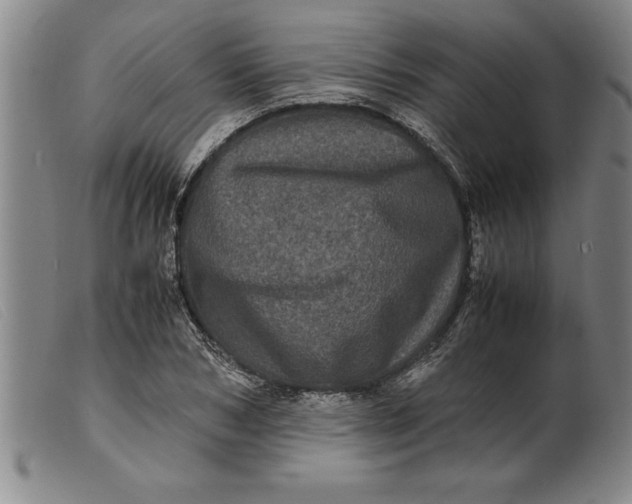 X0000099470978200805231826