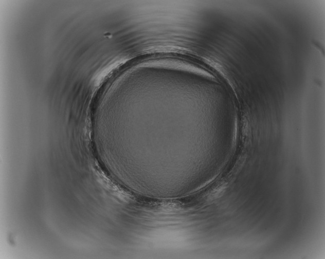 X0000099470979200805231826