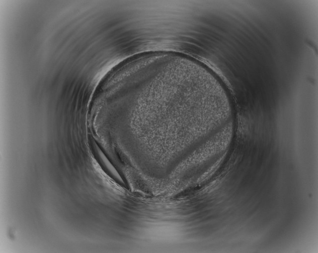 X0000099470980200805231826