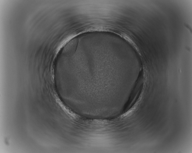 X0000099470981200805231826