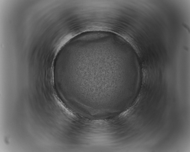 X0000099470982200805231826