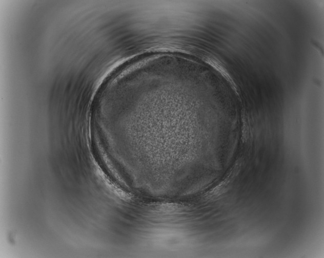 X0000099470984200805231826