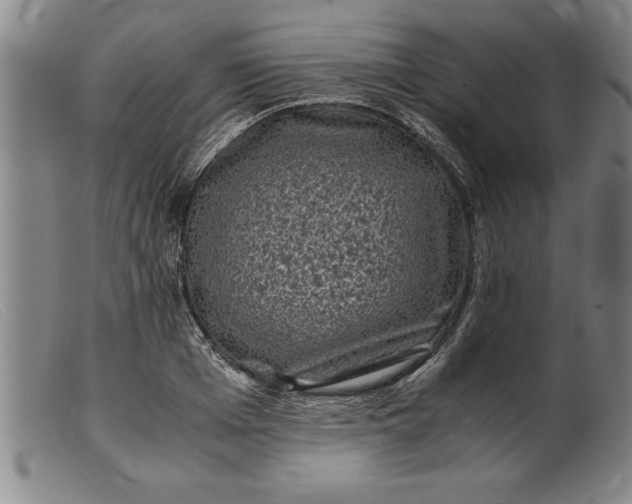 X0000099470985200805231826