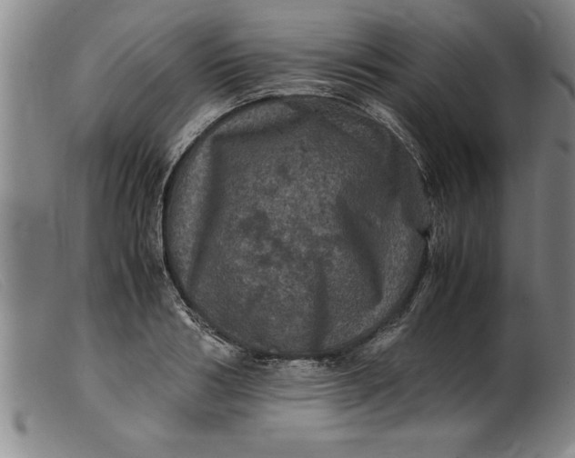X0000099470986200805231826
