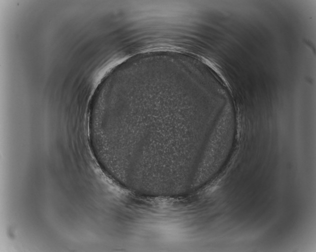 X0000099470987200805231826