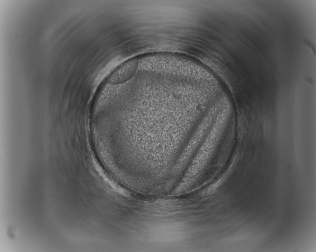 X0000099470989200805231826