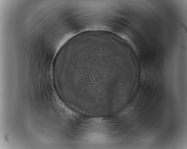 X0000099470990200805231826