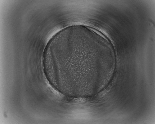 X0000099470991200805231826