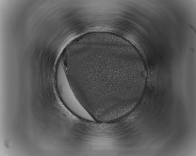 X0000099470992200805231826