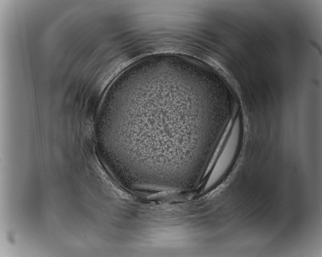 X0000099470993200805231826