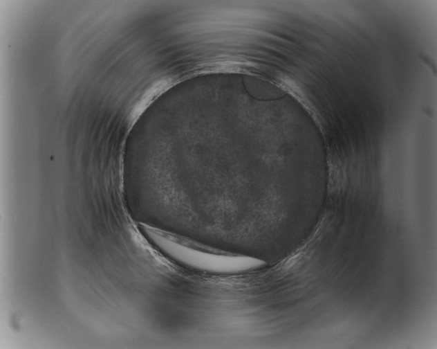 X0000099470994200805231826