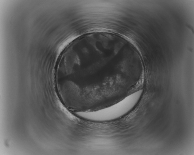 X0000099470995200805231826