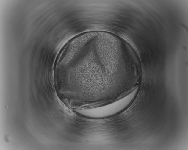 X0000099470996200805231826