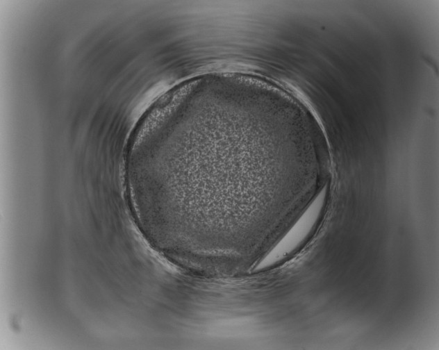 X0000099470997200805231826