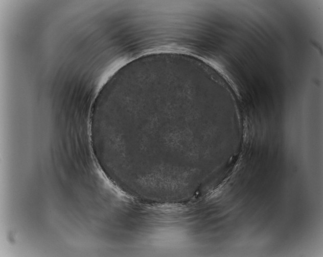 X0000099470998200805231826