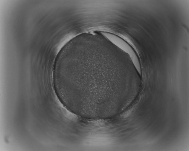 X0000099470999200805231826