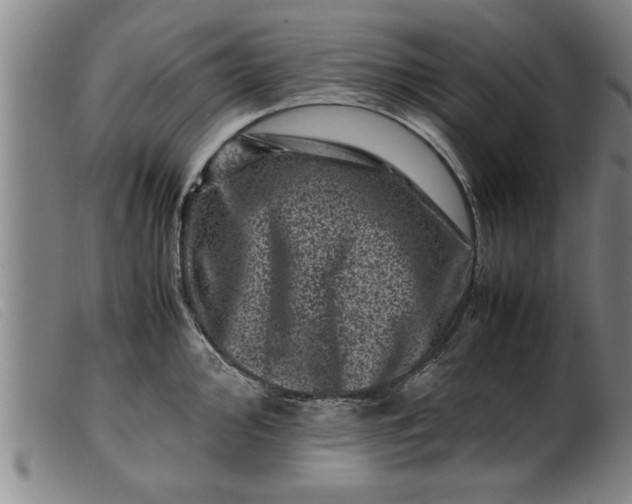 X0000099471000200805231826