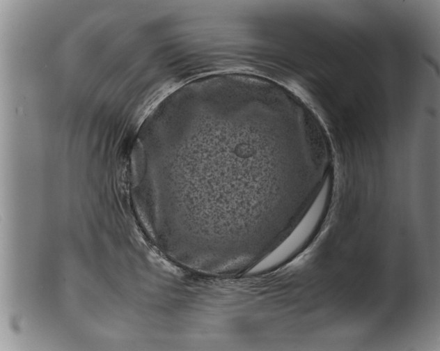 X0000099471001200805231826