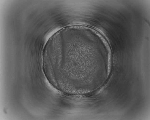 X0000099471003200805231825
