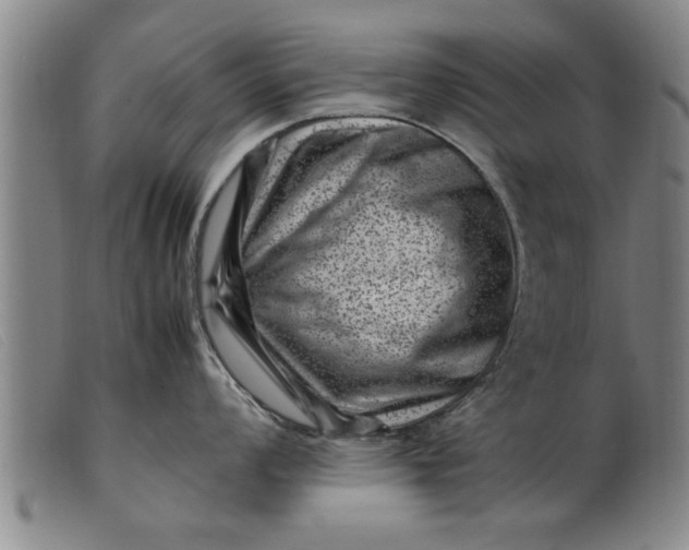 X0000099471008200805231825