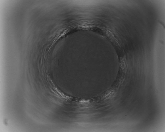 X0000099471009200805231825