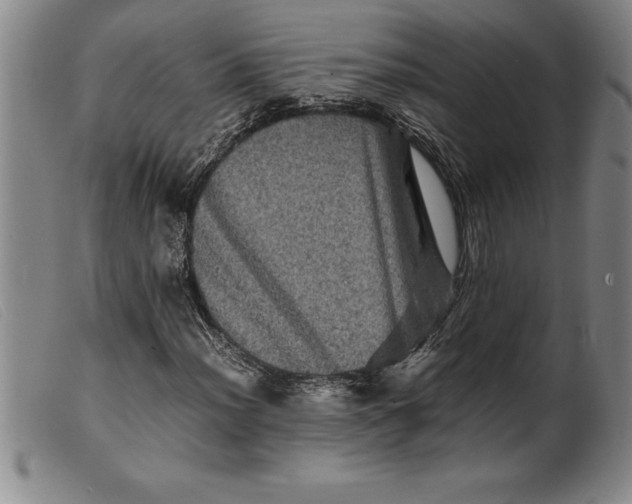 X0000099471012200805231825