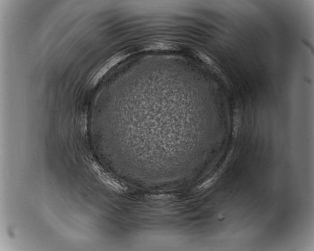 X0000099471017200805231825