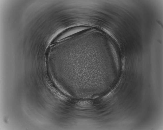 X0000099471021200805231825