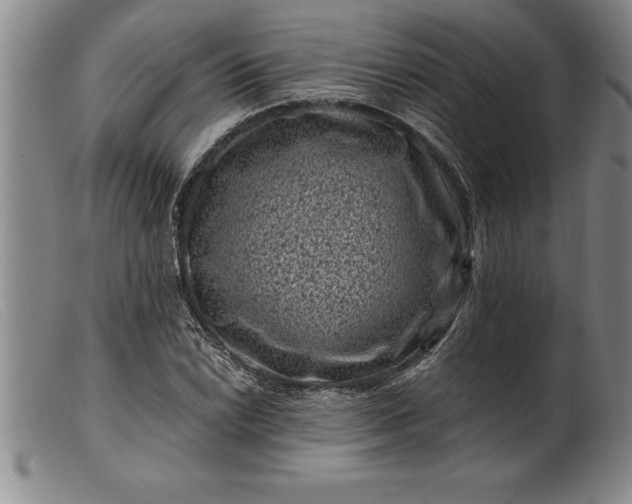 X0000099471022200805231825