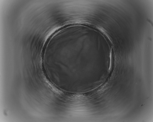 X0000099471024200805231825