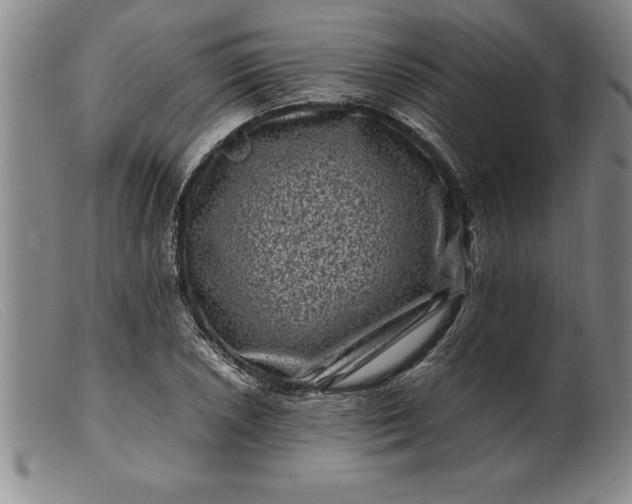 X0000099471026200805231825