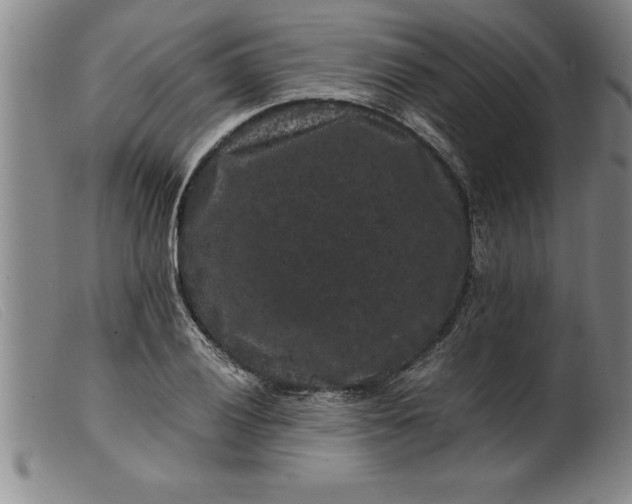 X0000099471028200805231825